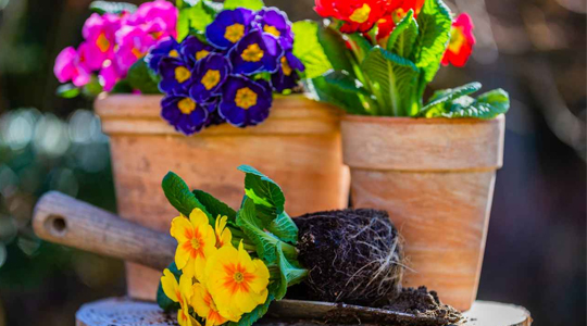 Скидки на грунты и удобрения