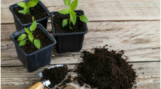 Скидки на грунты и удобрения